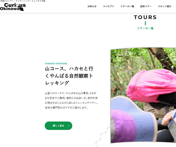 圖片精心設計的形狀