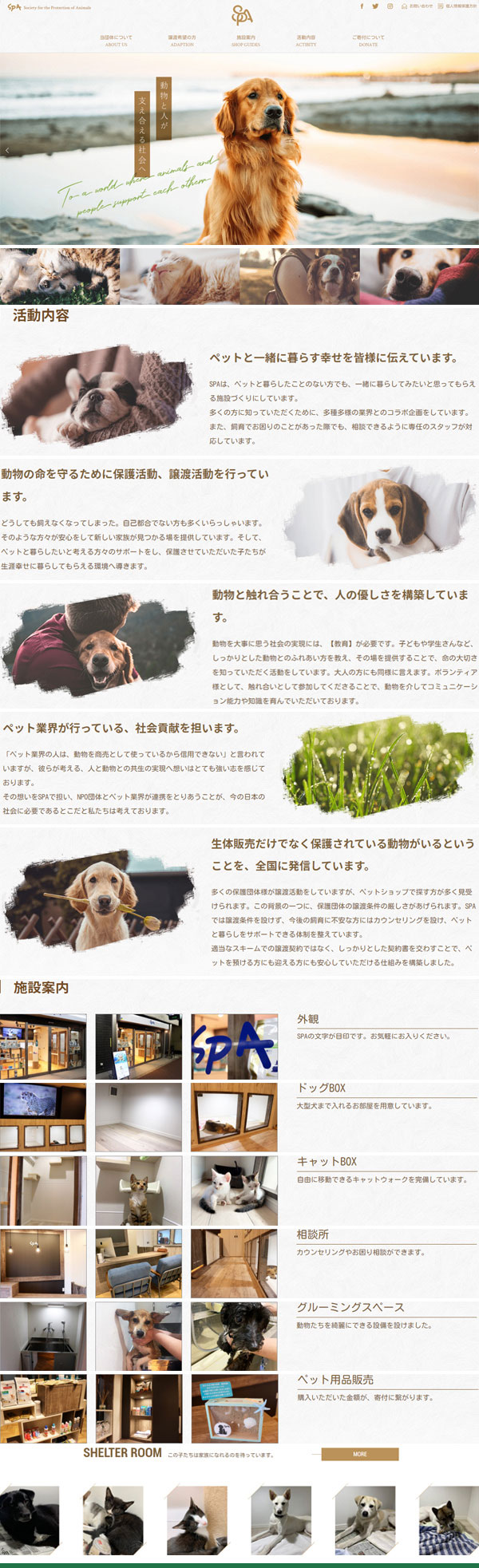 環(huán)境保護(hù)網(wǎng)站建設(shè)