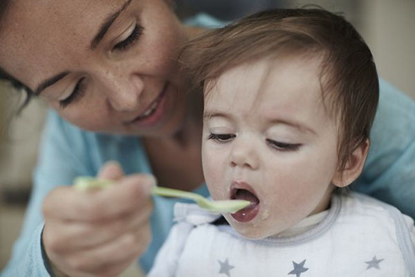 奶粉行業網站建設
